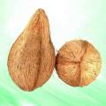 Cocunet Dhaanam