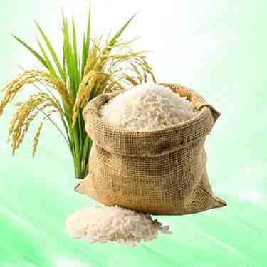 Rice Dhaanam Rice Dhaanam