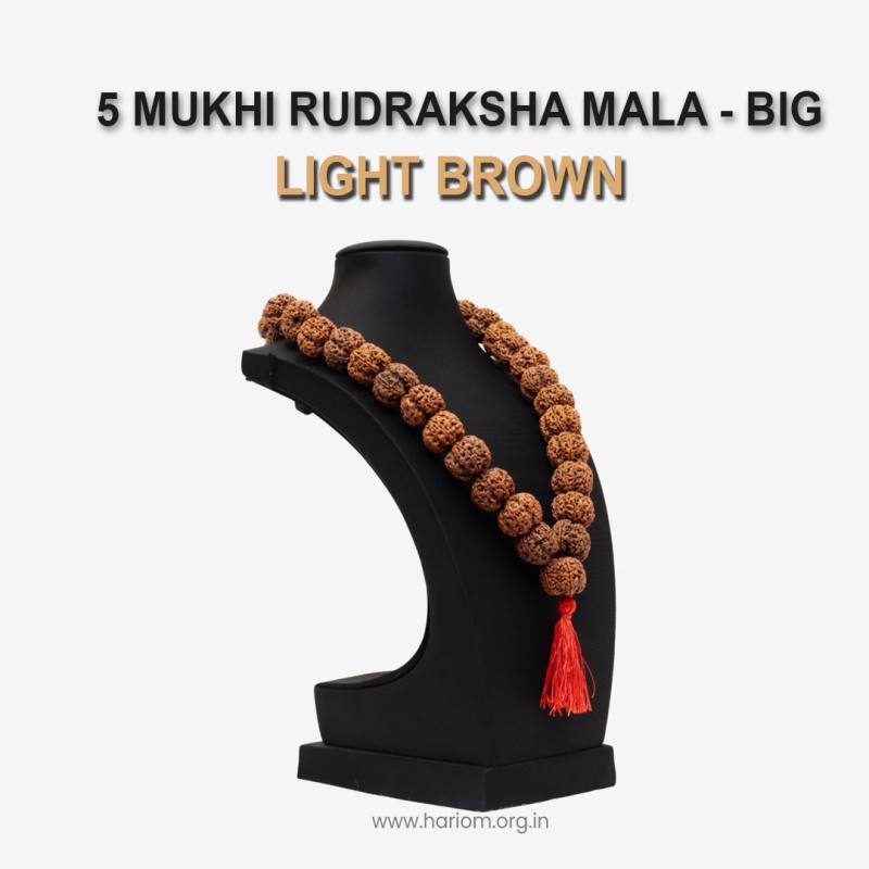 5 Mukhi Rudraksha Mala - Big