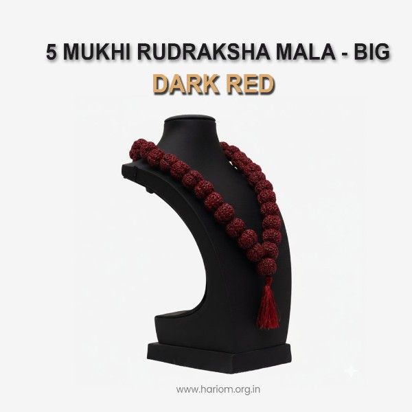 5 Mukhi Rudraksha Mala - Big