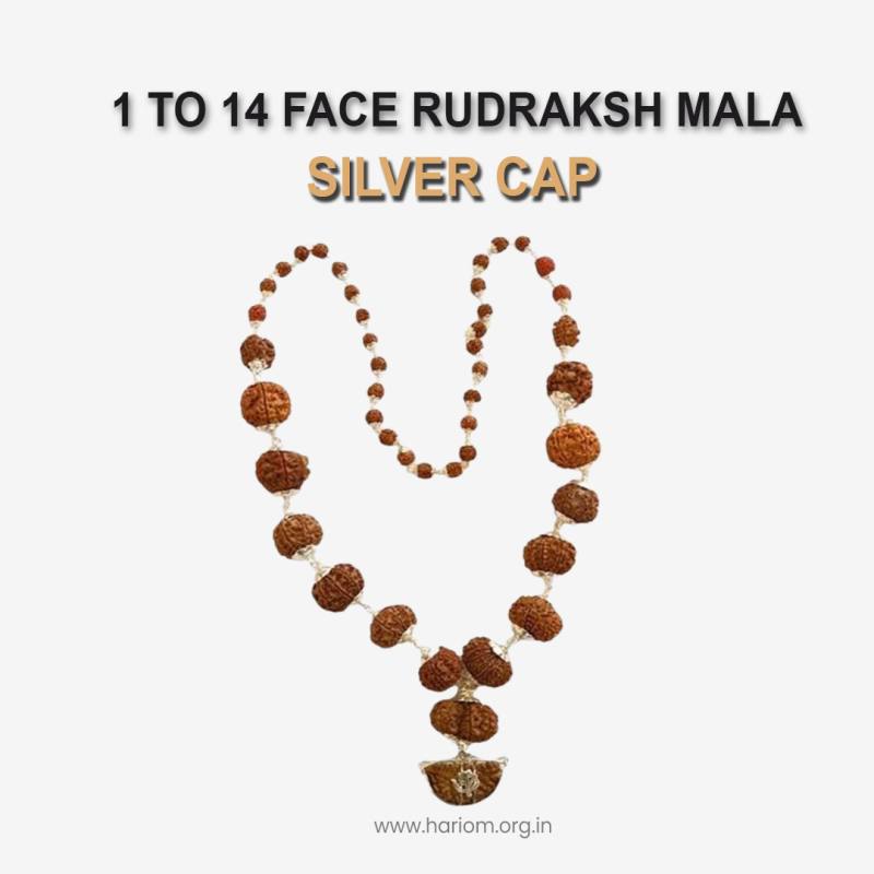 1 to 14 Face Rudraksha mala