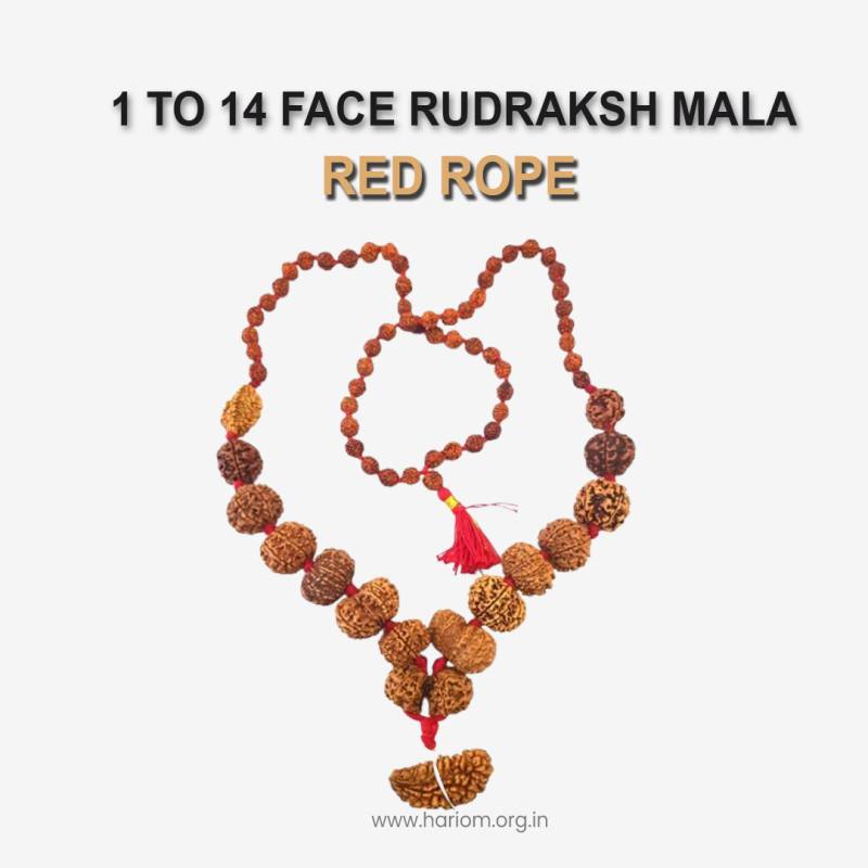 1 to 14 Face Rudraksha mala