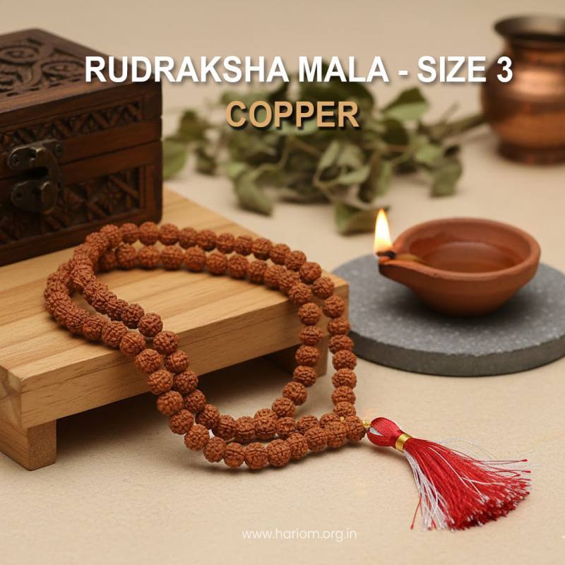Rudraksha Mala - size 3