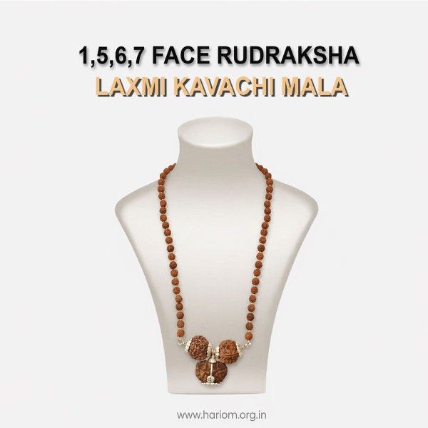 1,5,6,7 Face Rudraksha Lakshmi Kavach Mala
